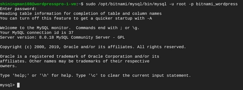 ターミナル：BitnamiのMySQLに接続完了