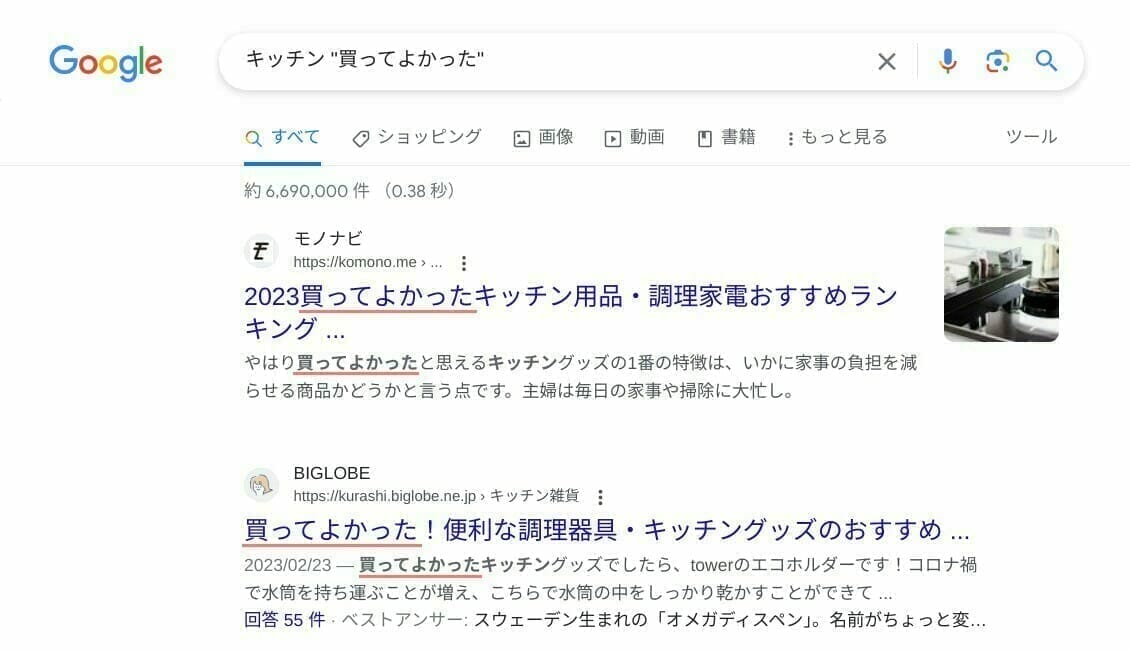 Google 検索:完全一致での検索結果