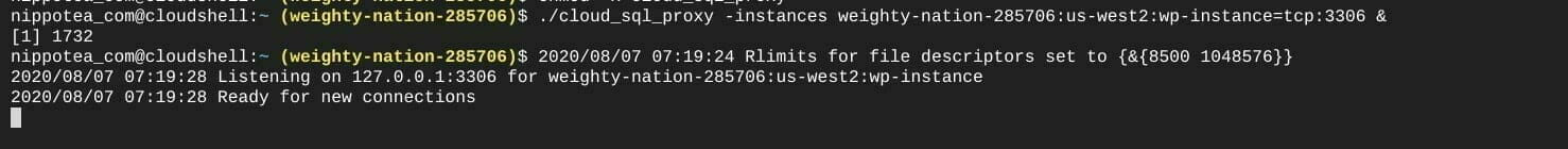 ターミナル:cloud_sql_proxy を実行