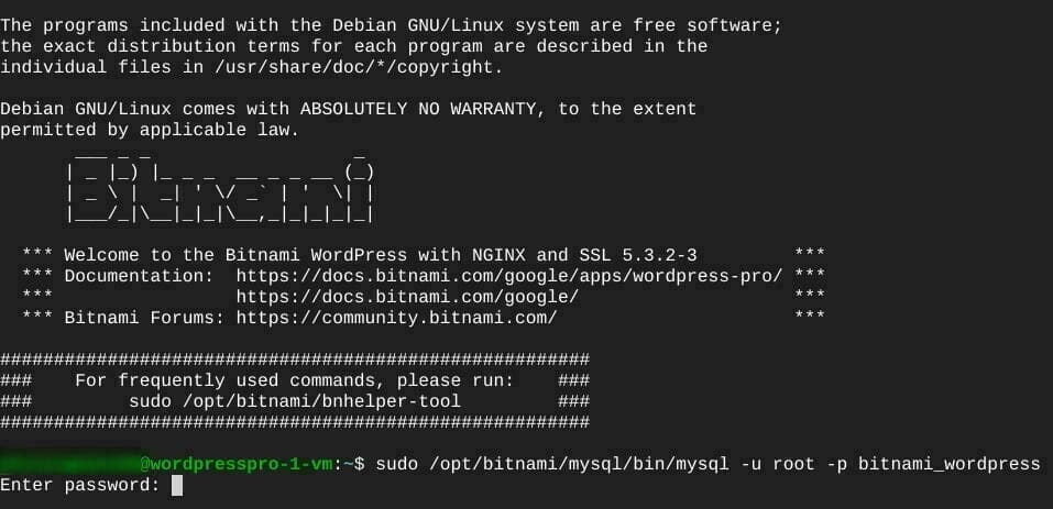 ターミナル:BitnamiのMySQLに接続