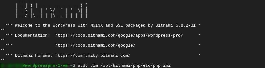 [Bitnami] Vim で php.ini を開く