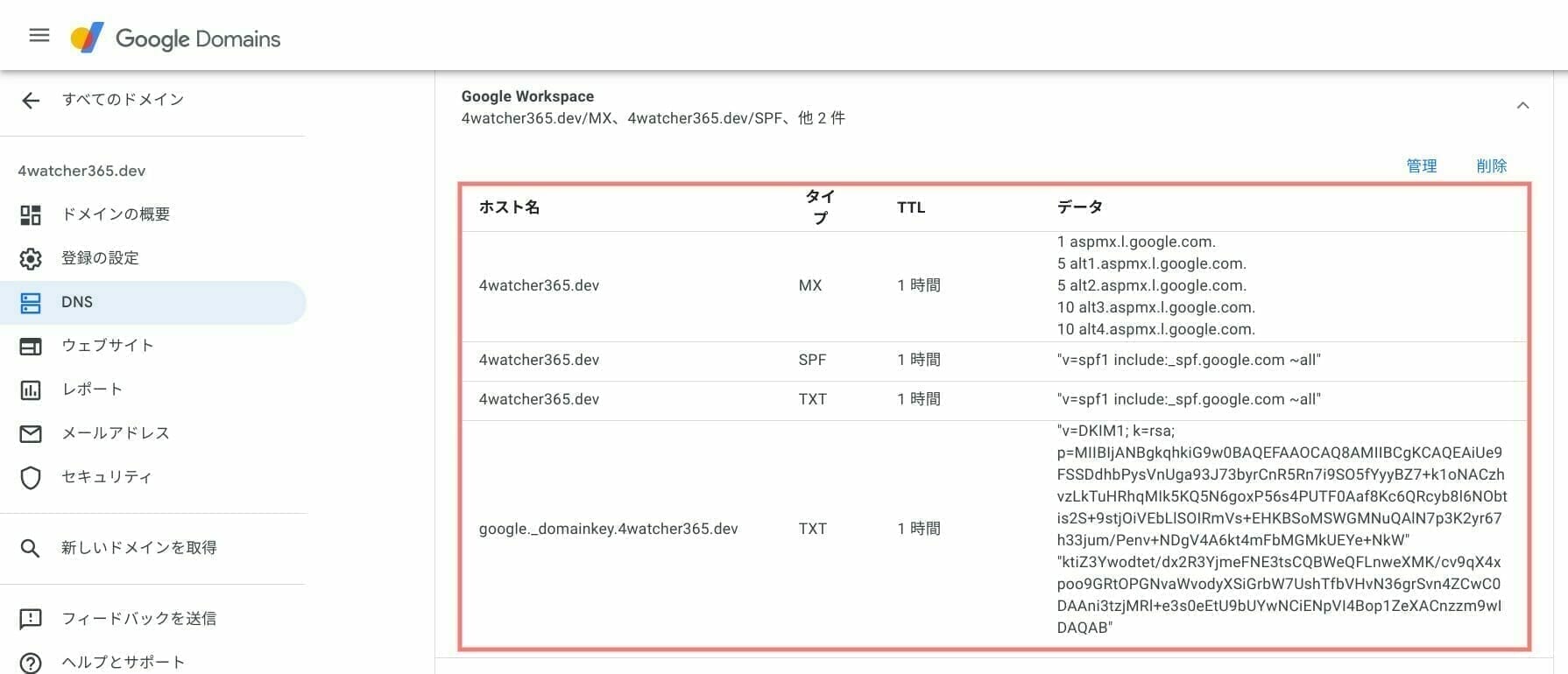 [Google Domains] Google Workspace の DNS レコードを確認する