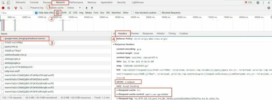 Chrome:LiteSpeed Cache の動作確認