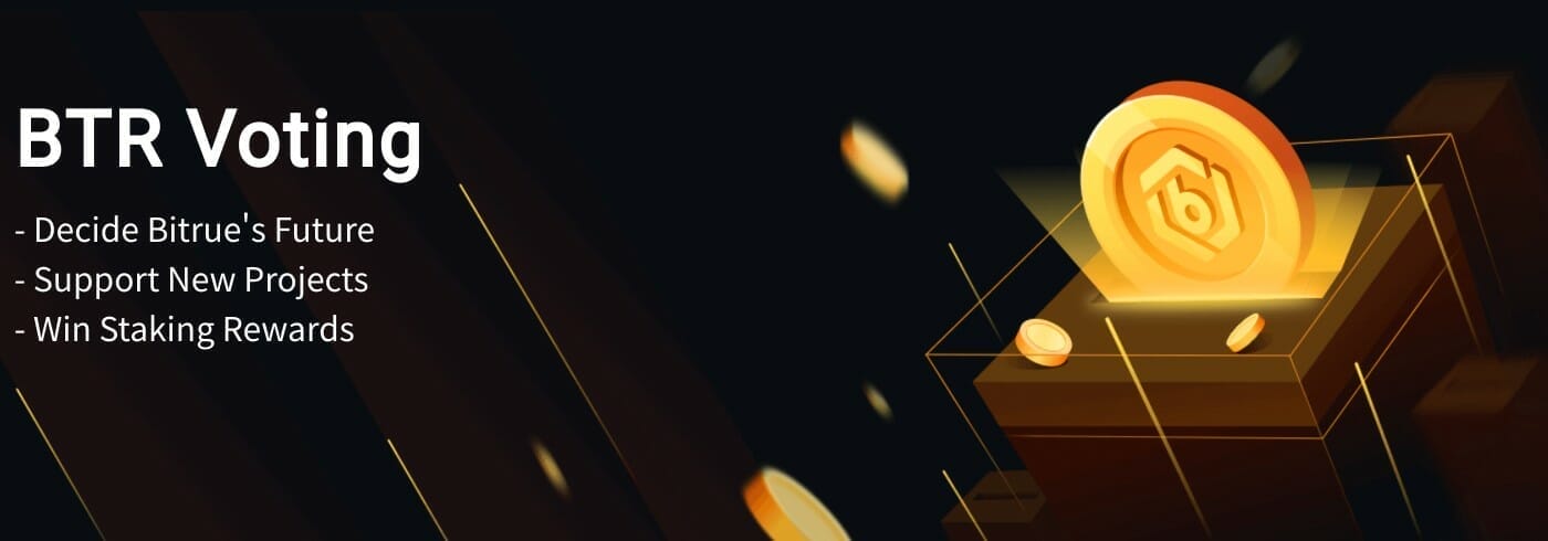 Biture:BTE Voting