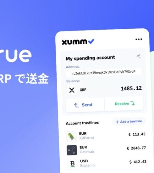 Bitrue で XRP を XUMM ウォレットに送金する手順